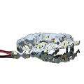 High brightness 12V SMD 2835 flexible s shape led light strip for decoration and advertisement